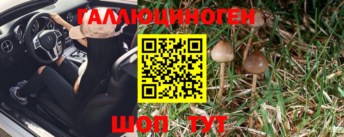 Псилоцибиновые грибы MAGIC MUSHROOMS Лениногорск