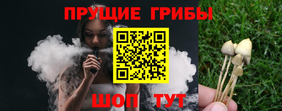 Псилоцибиновые грибы GOLDEN TEACHER  Вход с VPN  Лениногорск  наркотики  Галлюциногенные грибы Magic Shrooms 